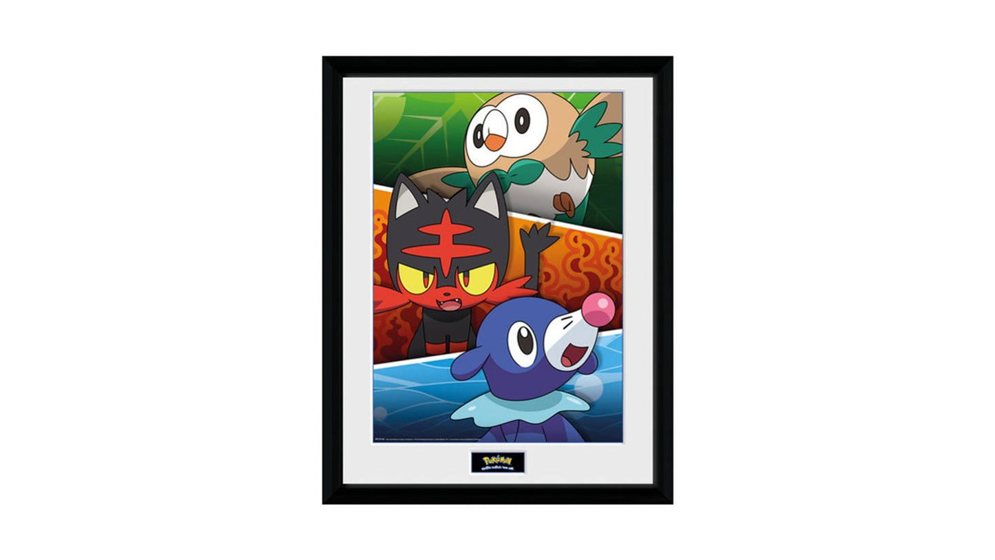 Pokemon Alola Partners - Bild