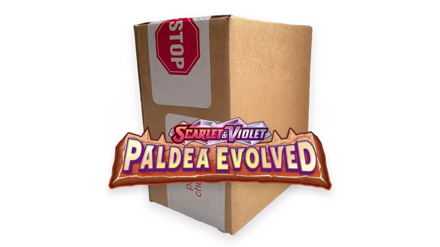 Paldea Evolved - Sleeved Booster Case (ENG)
